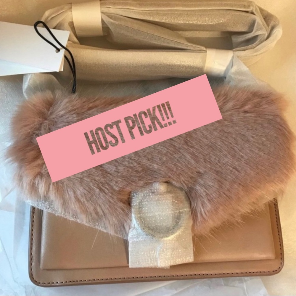 NWT 𝐑𝐄𝐁𝐄𝐂𝐂𝐀 𝐌𝐈𝐍𝐊𝐎𝐅𝐅 Fur Crossbody in Blush $298 retail!+ DUST BAG